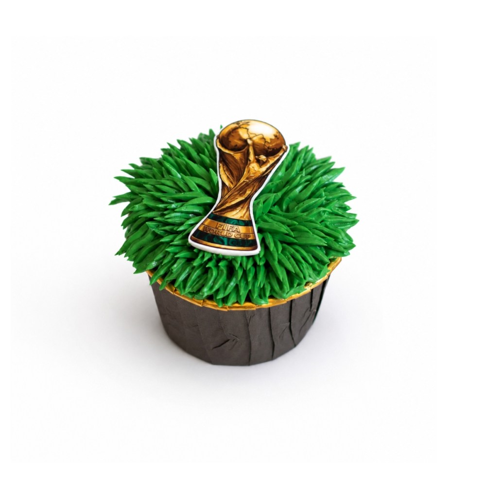 World Cup cupcake OLLIES