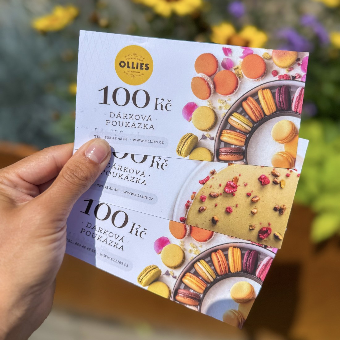 Dárkový poukaz na 100 Kč Ollies