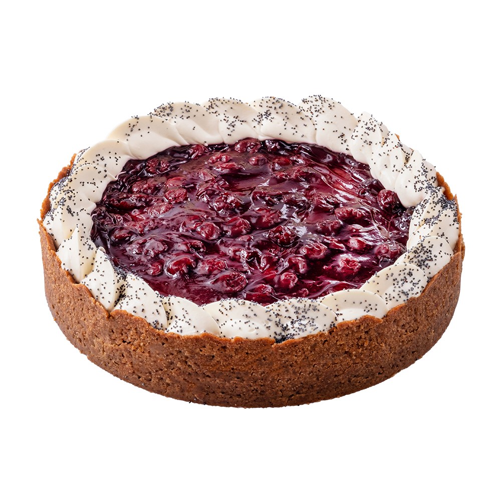 Praliné dort Ollies