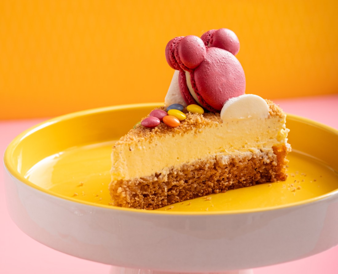 OLLIESÁČEK dort kousek OLLIES