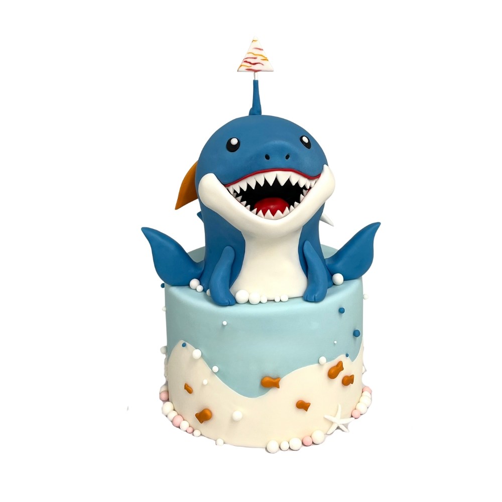 Dort na přání OLLIES