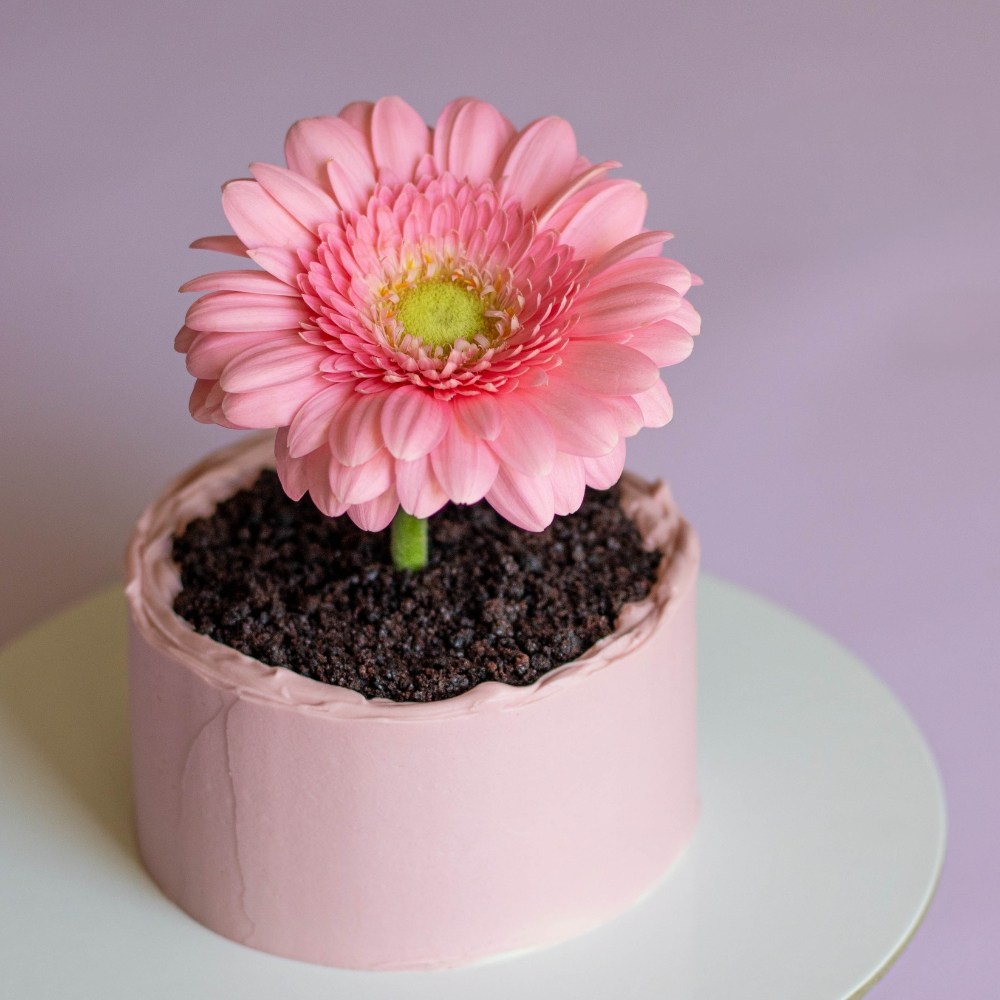Flower pot cake pro maminku OLLIES
